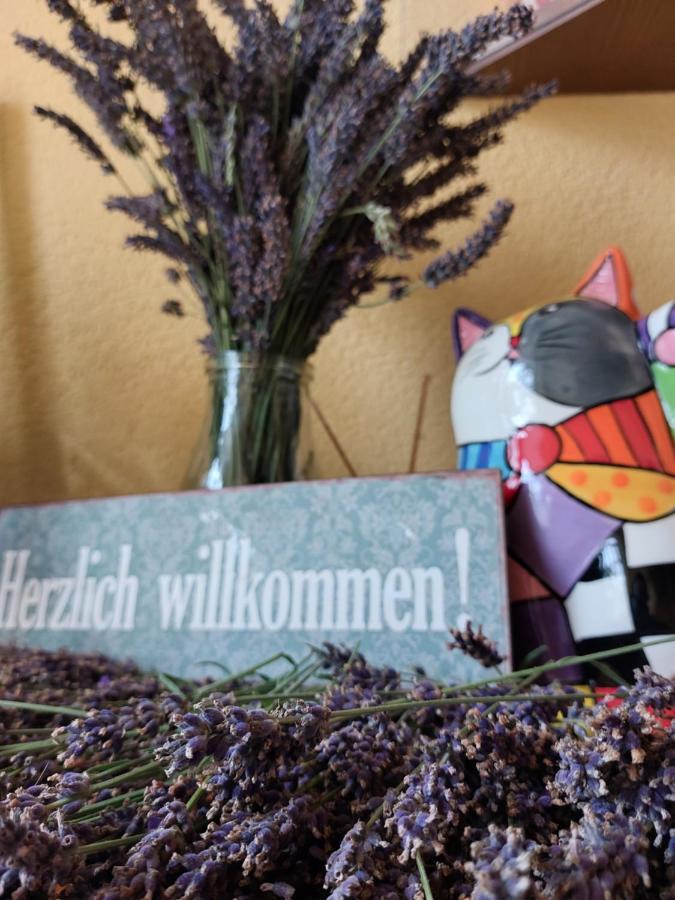 Hotel Zum Poppschen Gut Olbernhau Zewnętrze zdjęcie