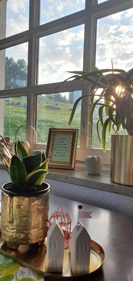 Hotel Zum Poppschen Gut Olbernhau Zewnętrze zdjęcie