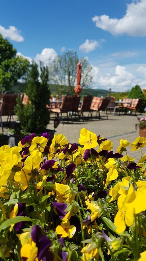 Hotel Zum Poppschen Gut Olbernhau Zewnętrze zdjęcie