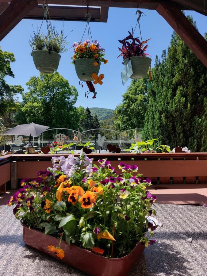 Hotel Zum Poppschen Gut Olbernhau Zewnętrze zdjęcie